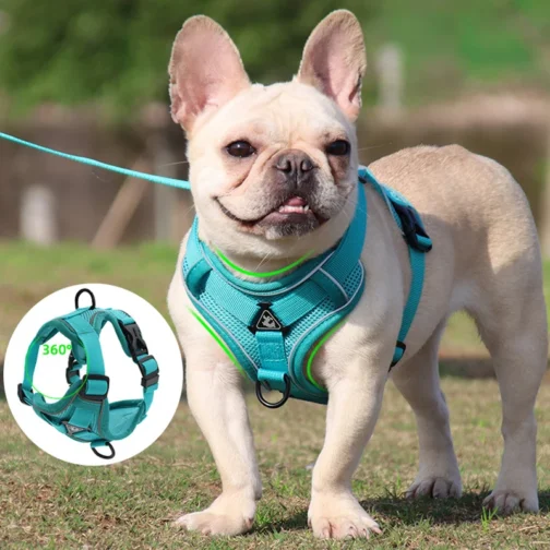 PAWesome Harness and Leash - Image 2