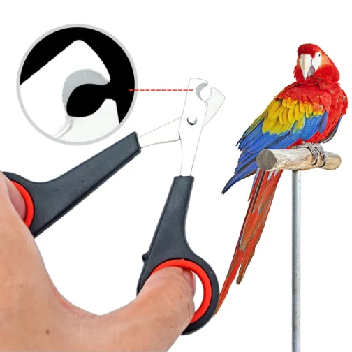 PAWesome Bird Nail Clipper - Image 2